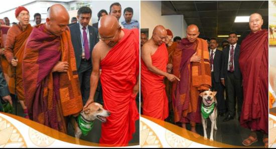 சமாதான பாதயாத்திரைக்காக மகா சங்கத்தினர் வருகை